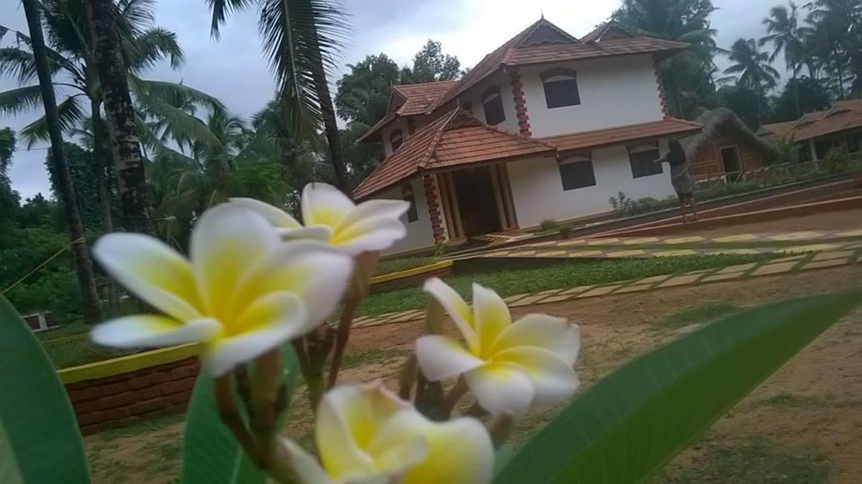 Deepanjali Wellness & Retreat Thanniyam Ngoại thất bức ảnh